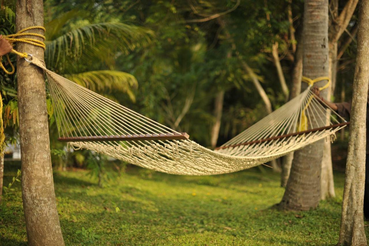 Club Mahindra Ashtamudi Hotel Nindakara Ngoại thất bức ảnh